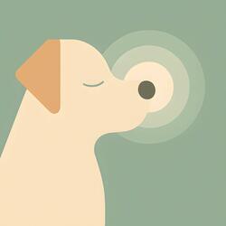 Synchronized Serenity