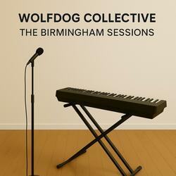 The Man Who Knew the Rain (The Birmingham Sessions)