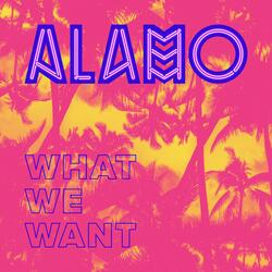 What We Want (feat. Adam Wave)