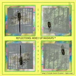REFLECTIONS (vocals mashup)