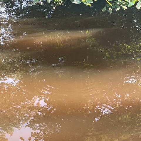 Acoustic Water