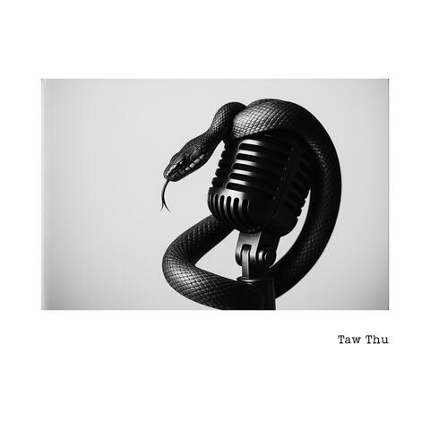 Vintage coil