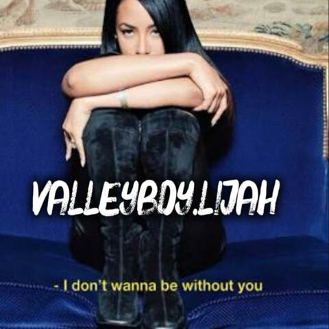 I DON'T WANNA (Valleyboy.lijah)