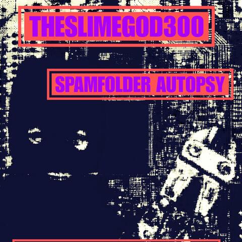 SPAMFOLDER AUTOPSY