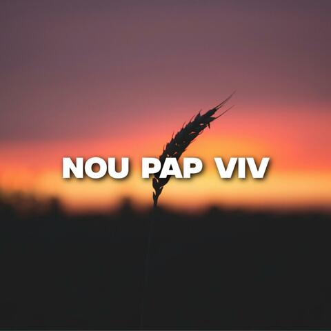 NOU PAP VIV