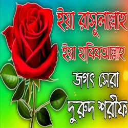 ইয়া রাসুলআল্লাহ ইয়াহাবিবআল্লাহ দরুদ শরীফ। মিলাদ কিয়াম ya rasul allah ya habib allah
