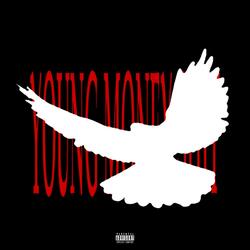 YOUNG MONEY SHIT