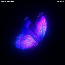 Birds Of A Feather (feat. SKV)