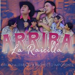 De Sol A Sol (feat. Grupo Alebraju)