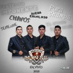 Los Principios (En vivo)