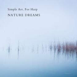 Simple Arr. For Harp