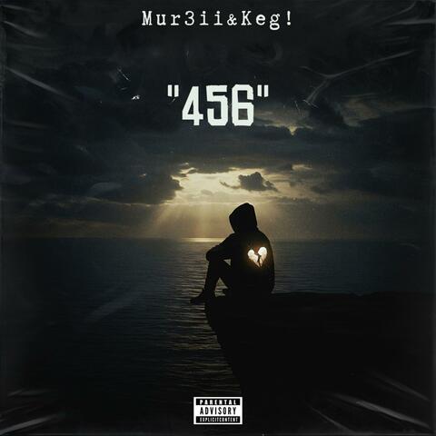 456