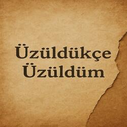Üzüldükçe Üzüldüm