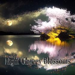 Night Cherry Blossoms