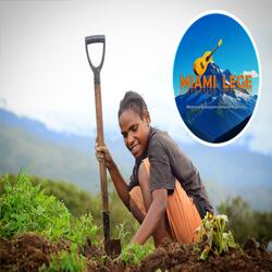 Apee apee (Lokal Wamena)