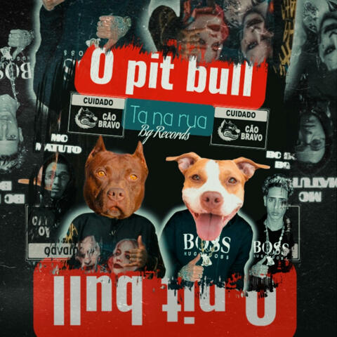 O Pit Bull ta na Rua (feat. Mc matuto de Recife)