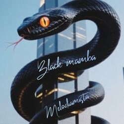 Black mamba