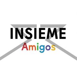 INSIEME AMIGOS