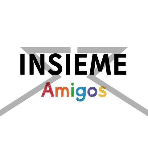 INSIEME AMIGOS