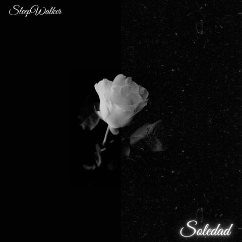 Soledad Slowed