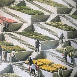 El trabajo como causa de enfermedad