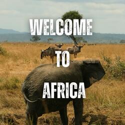 Welcome to Africa
