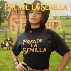 crusita prende la semilla
