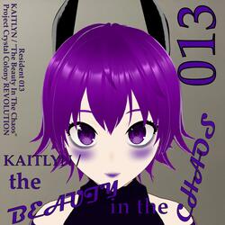 The Beauty In The Chaos