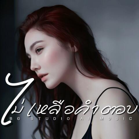 ไม่เหลือคำตอบ