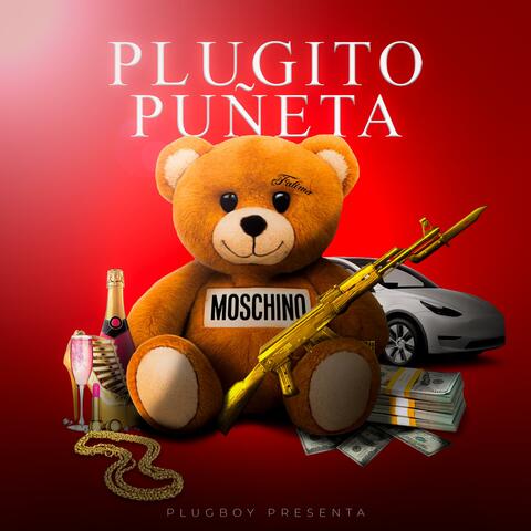 PLUGITO PUÑETA
