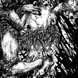 Xenoma Proliferation