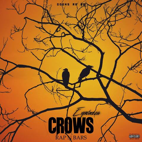 Crows