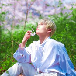 Step the Butterfly (SAVED) [2021] (Melody Version)