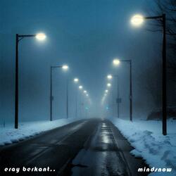 Mindsnow