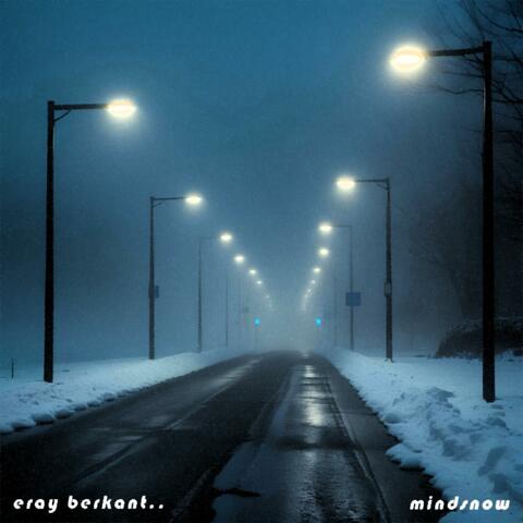 Mindsnow