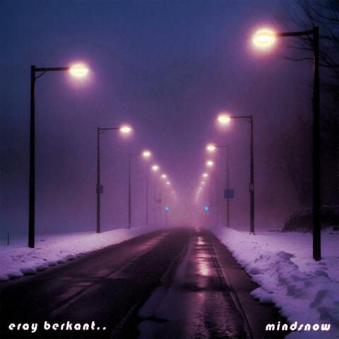 Mindsnow