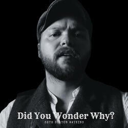 Did You Wonder Why?