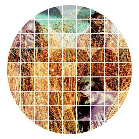 DI SANA E ROBUSTA COSTITUZIONE