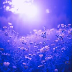 Love You In The Open (Extended)