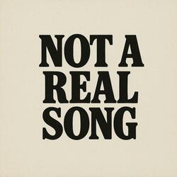 Not A Real Song
