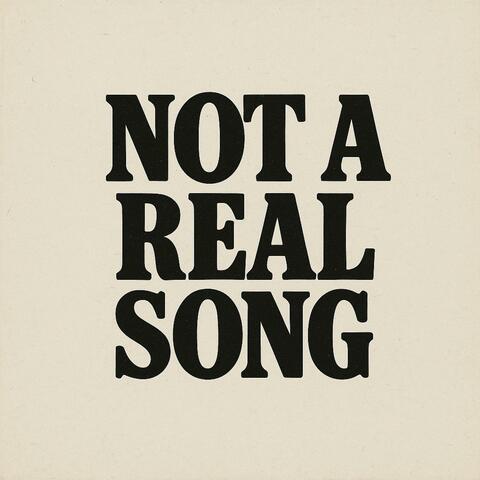 Not A Real Song