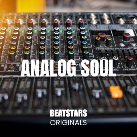 Analog Soul