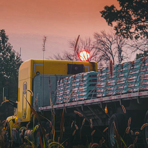 Ashtrays & Silhouettes