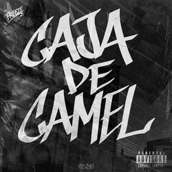 CAJA DE CAMEL