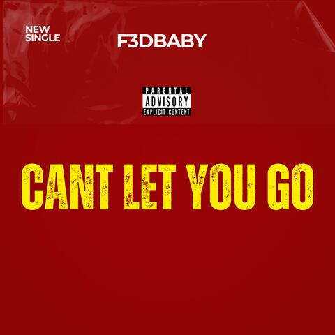 Cant let you go