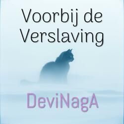 Voorbij de Verslaving
