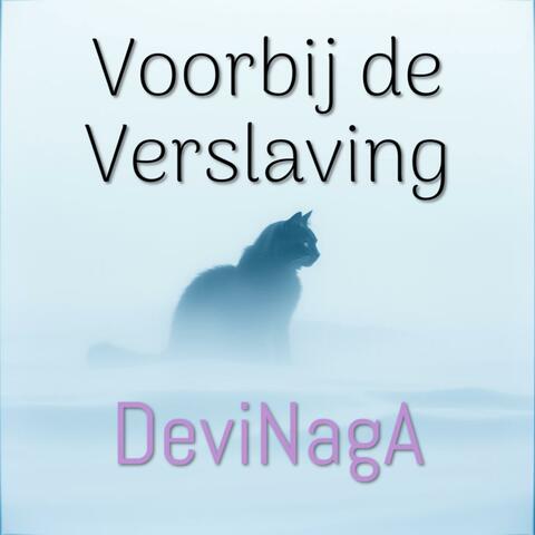 Voorbij de Verslaving