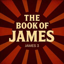 JAMES 3