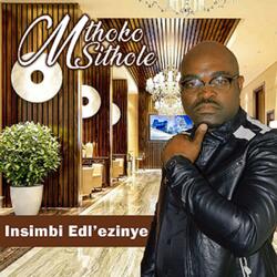 Insimbi Edl'ezinye