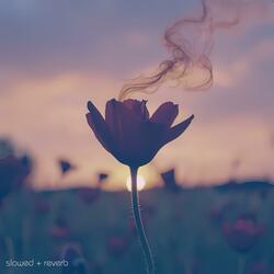 Something In The Air